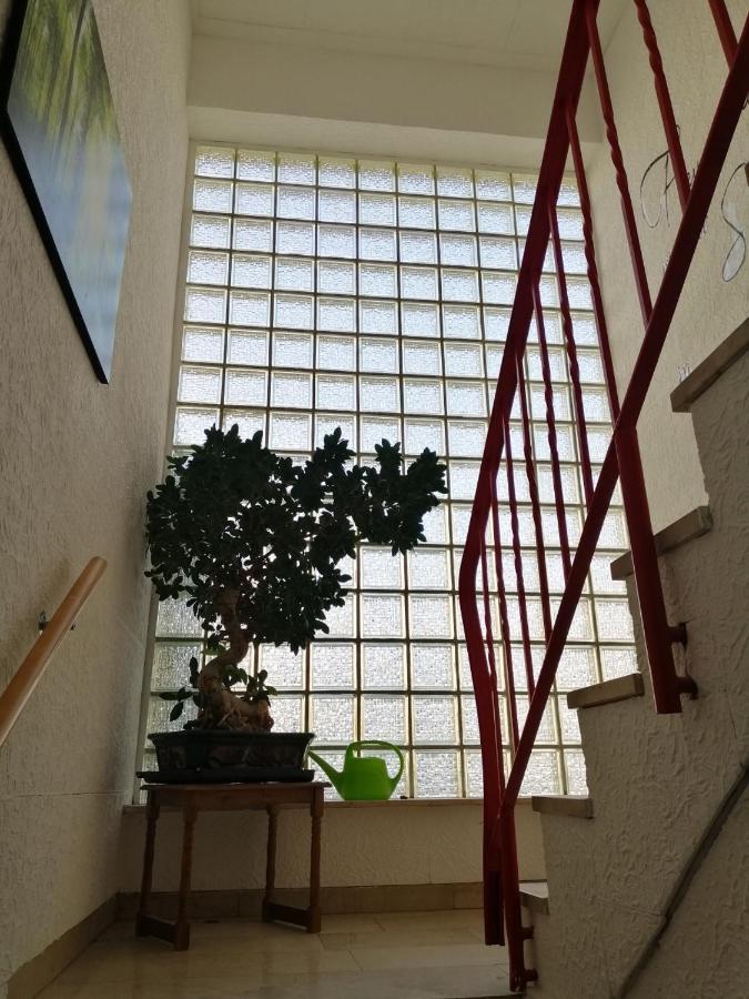 Ferienhaus Elwetritsche In Landau/Pfalz Ландау ин дер Пфалц Екстериор снимка